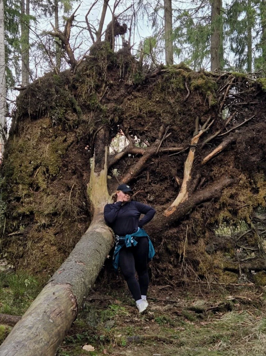 Ihminen istuu kaatuneen puun juurakoiden ja maakerroksen päällä metsässä.