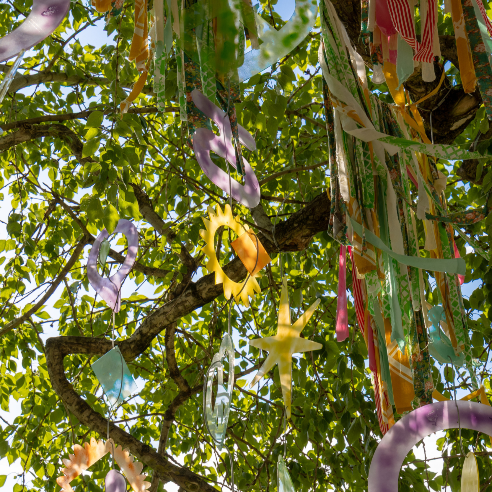 Värikkäitä paperista tai muovista leikattuja koristeita roikkuvat puita vasten.