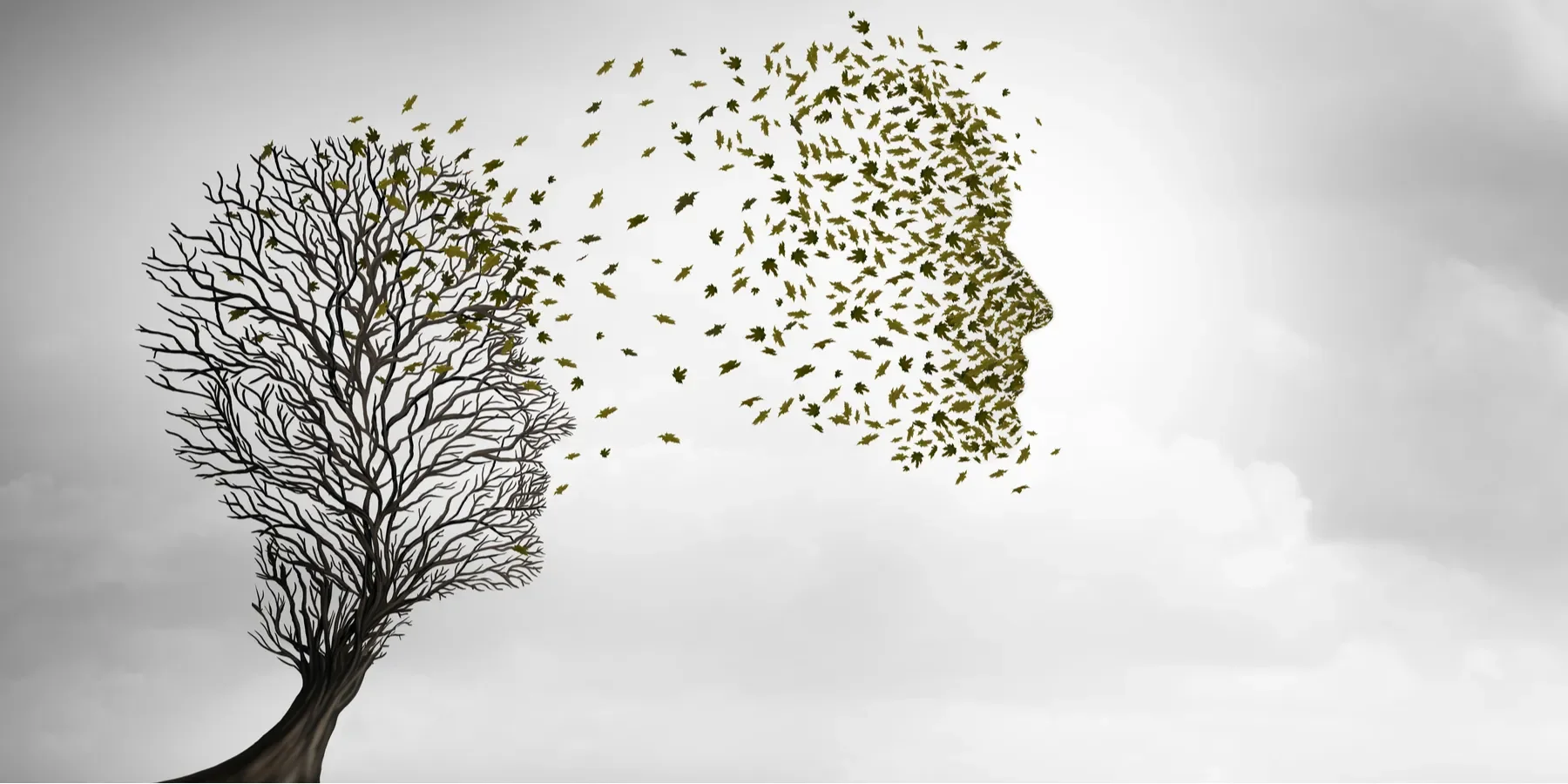Artistic image of a leafless tree transforming into a human face profile, made of small leaves, on a cloudy sky background.