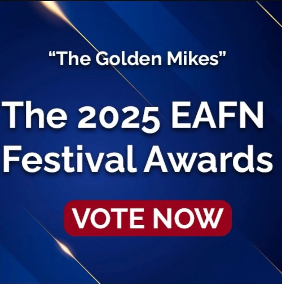 If you loved what we did in our first year, please vote for us in the 2025 @east_anglian_festival_network awards &hearts;️ Link in bio 😍 #ipswich #suffolk #bookfestival #ipswichsuffolk