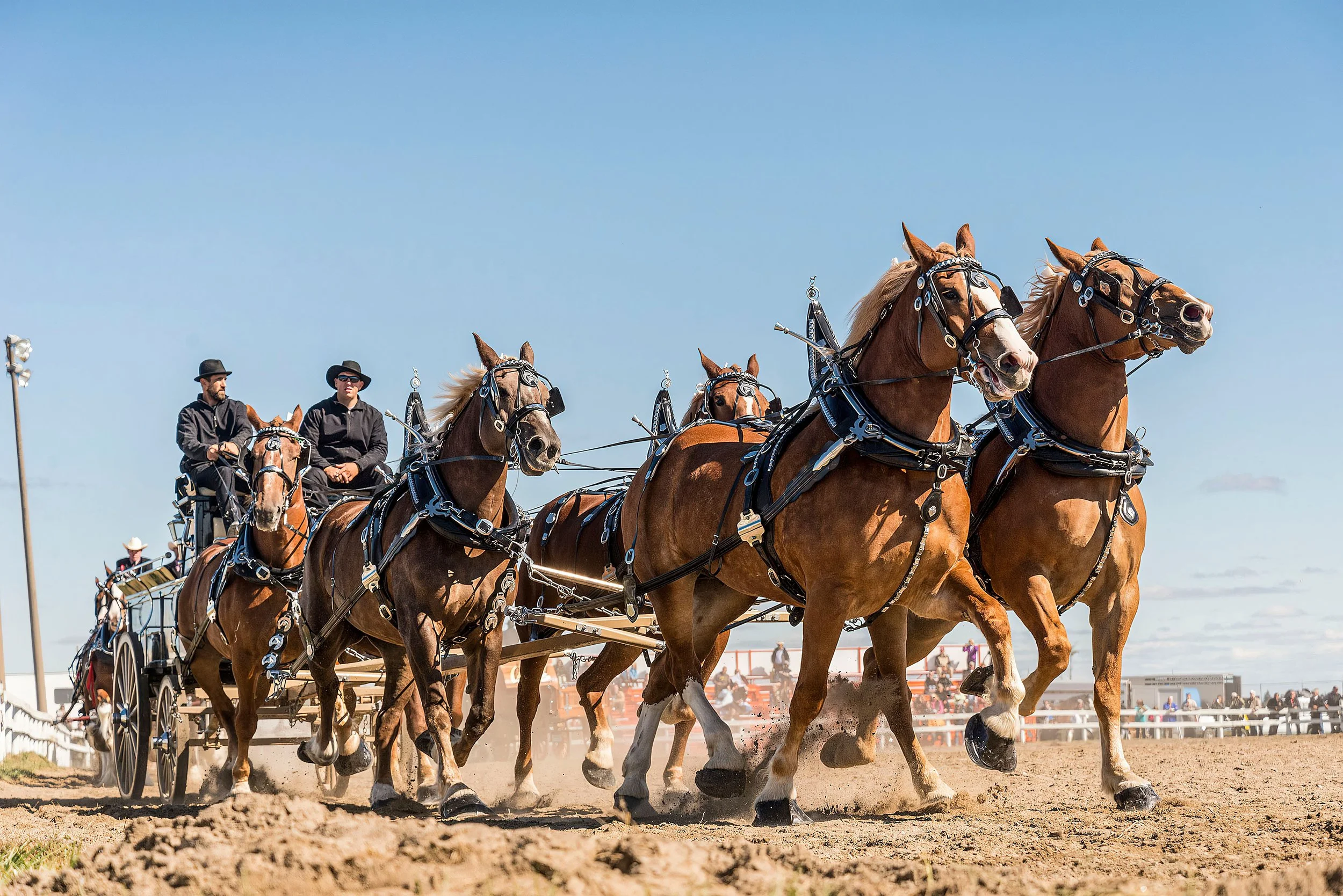 Stampede Stamina - How to Keep Your Energy Up During Calgary Stampede 