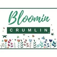 bloomin crumlin.jpeg