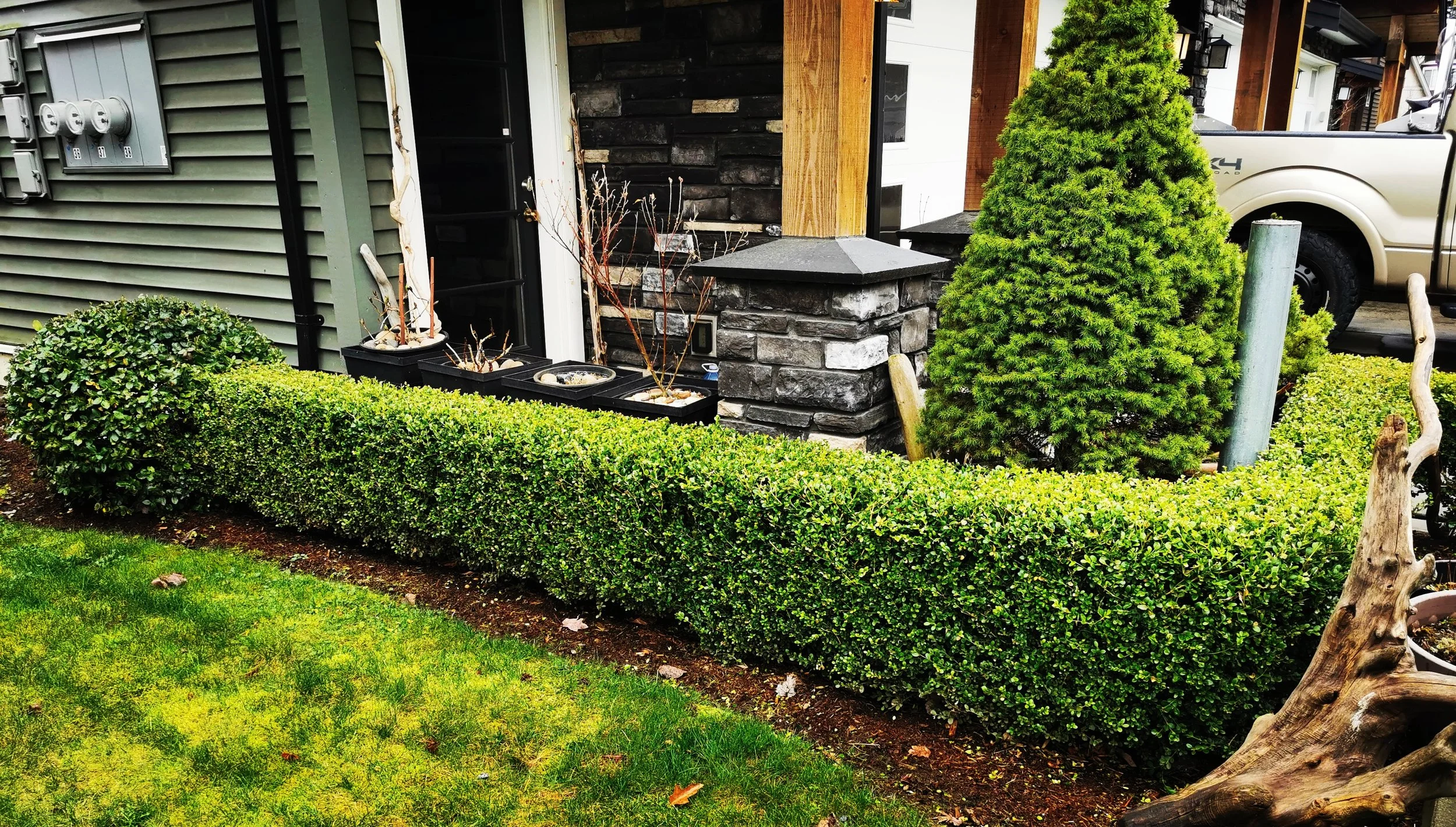 Neatly trimmed hedges improve your curb appeal.