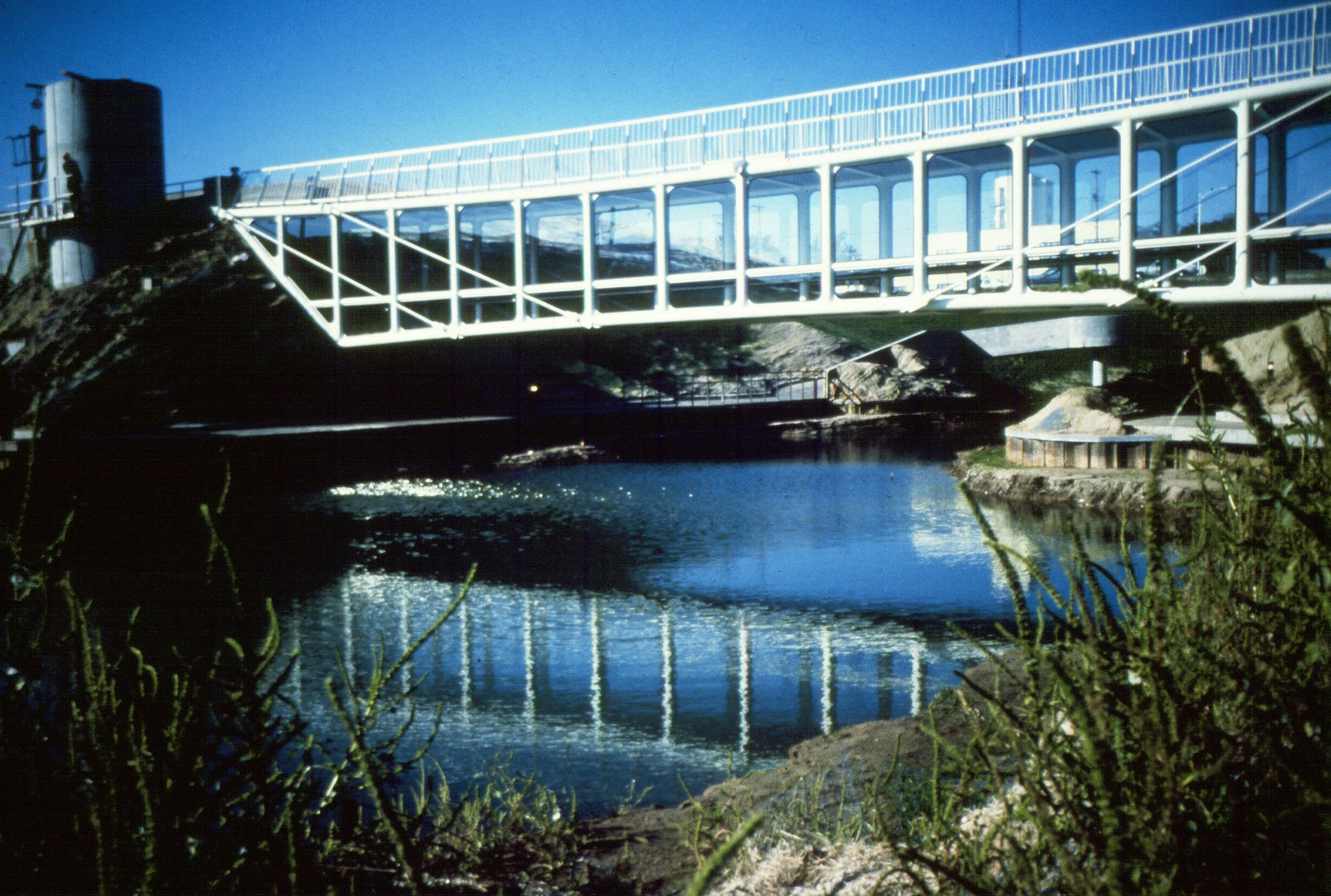 Myriad Gardens Pedestrian Bridge