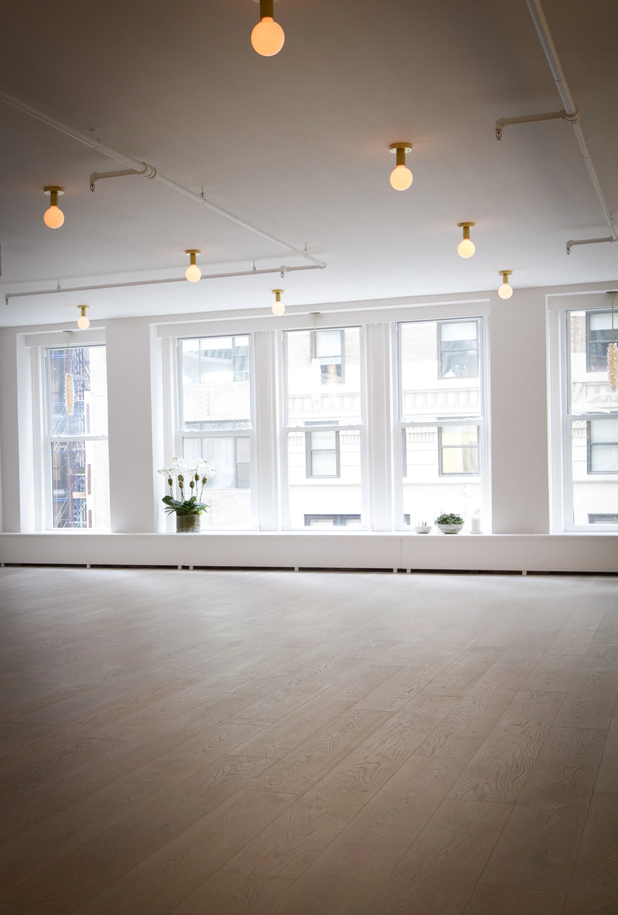 The Class Wellbeing Studio - photo by Jaimie Baird.