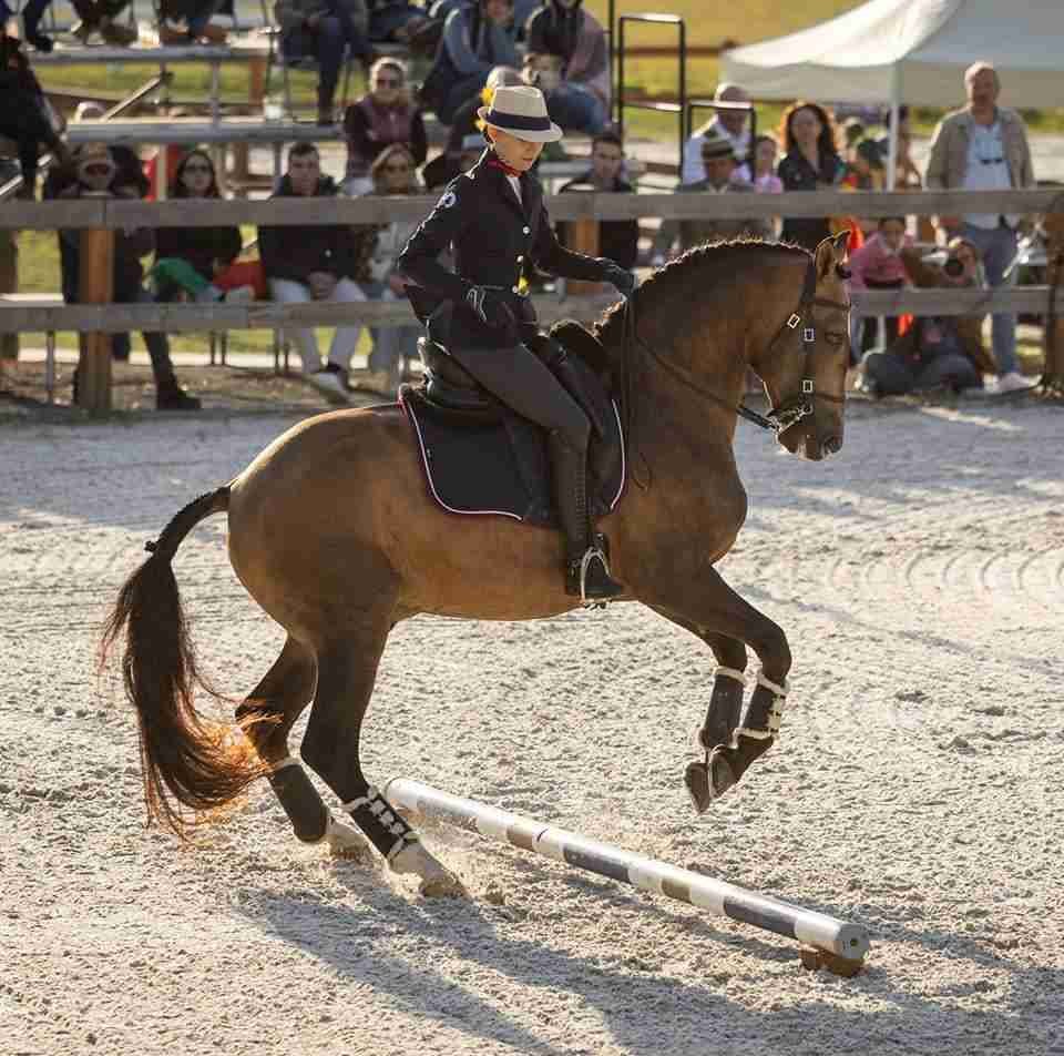 France Championnats d'Europe - Califa.jpg