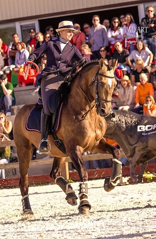 Equipe de france 4.jpg