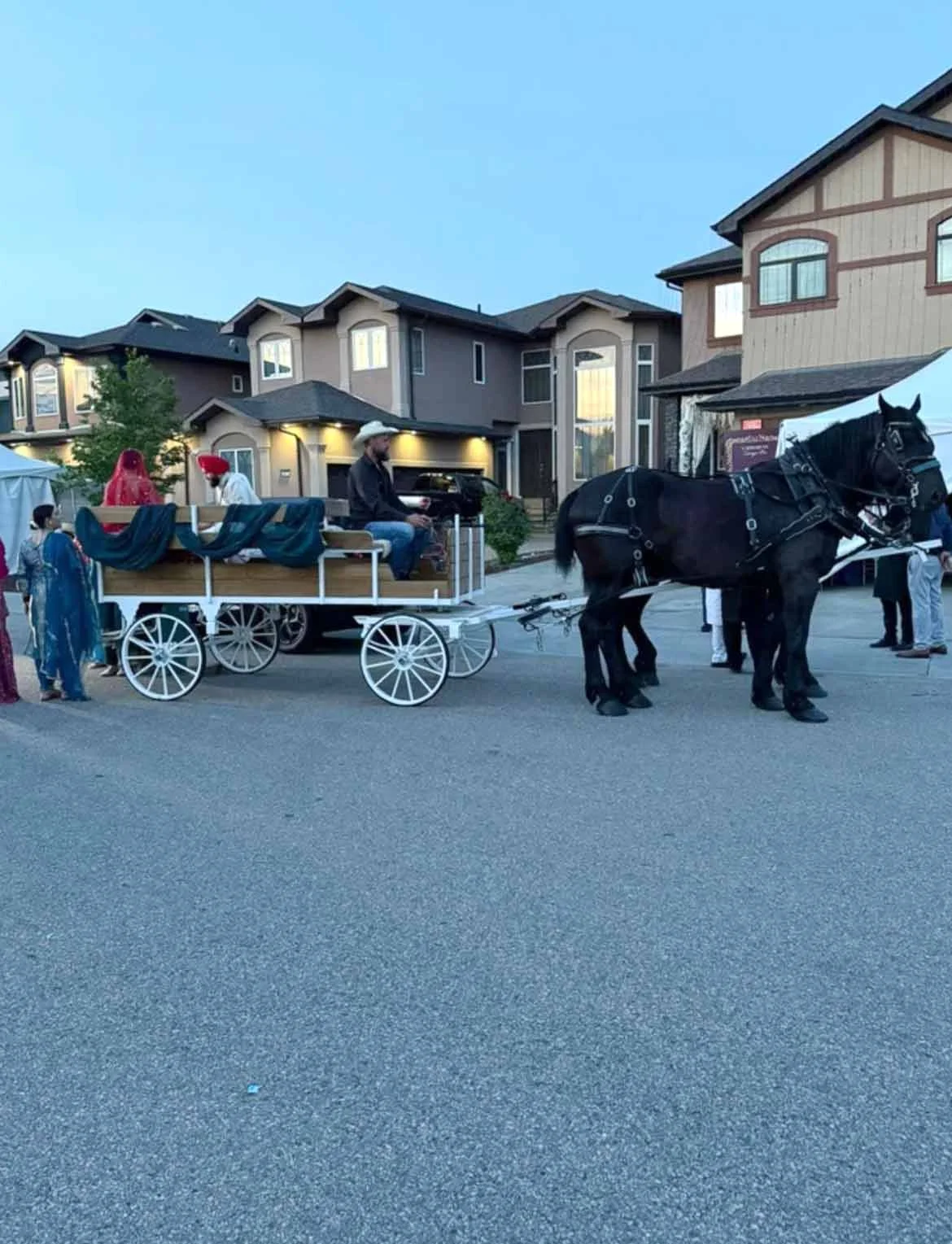 A horse-drawn carriage with passengers, including children in costumes, parked on a suburban street with modern houses in the background.