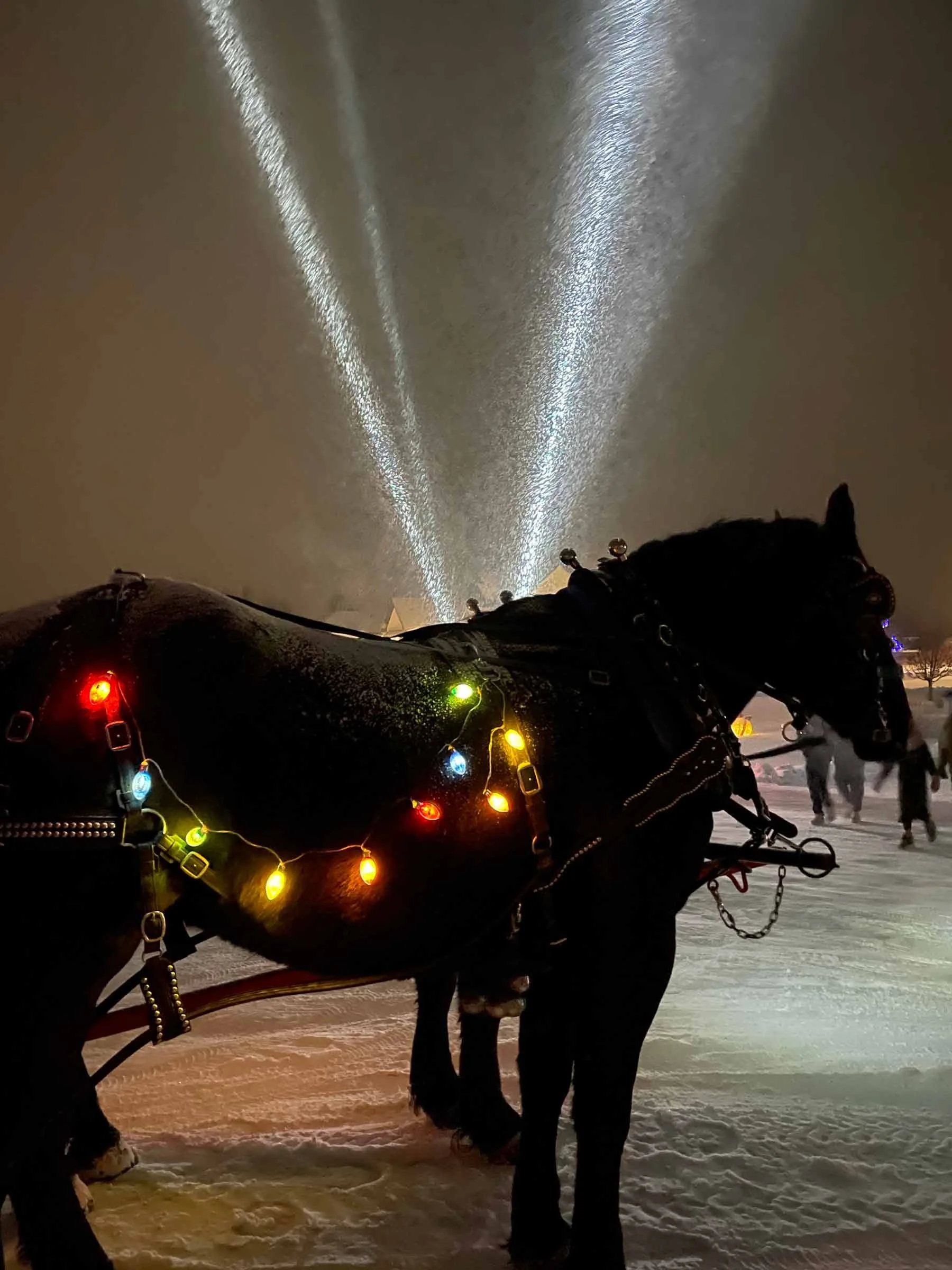 Black horse decorated with multicolored Christmas lights, standing on snow at night, with spotlight beams in the background.
