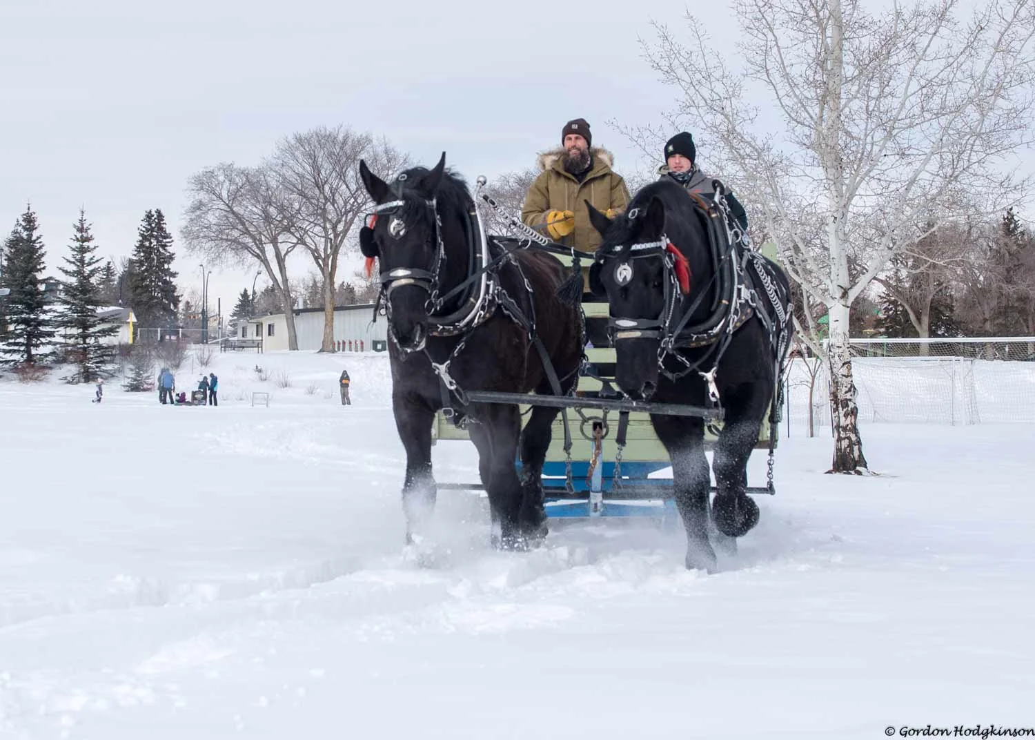 Two men riding a horse-drawn carriage on snow-covered ground with trees and houses in the background.