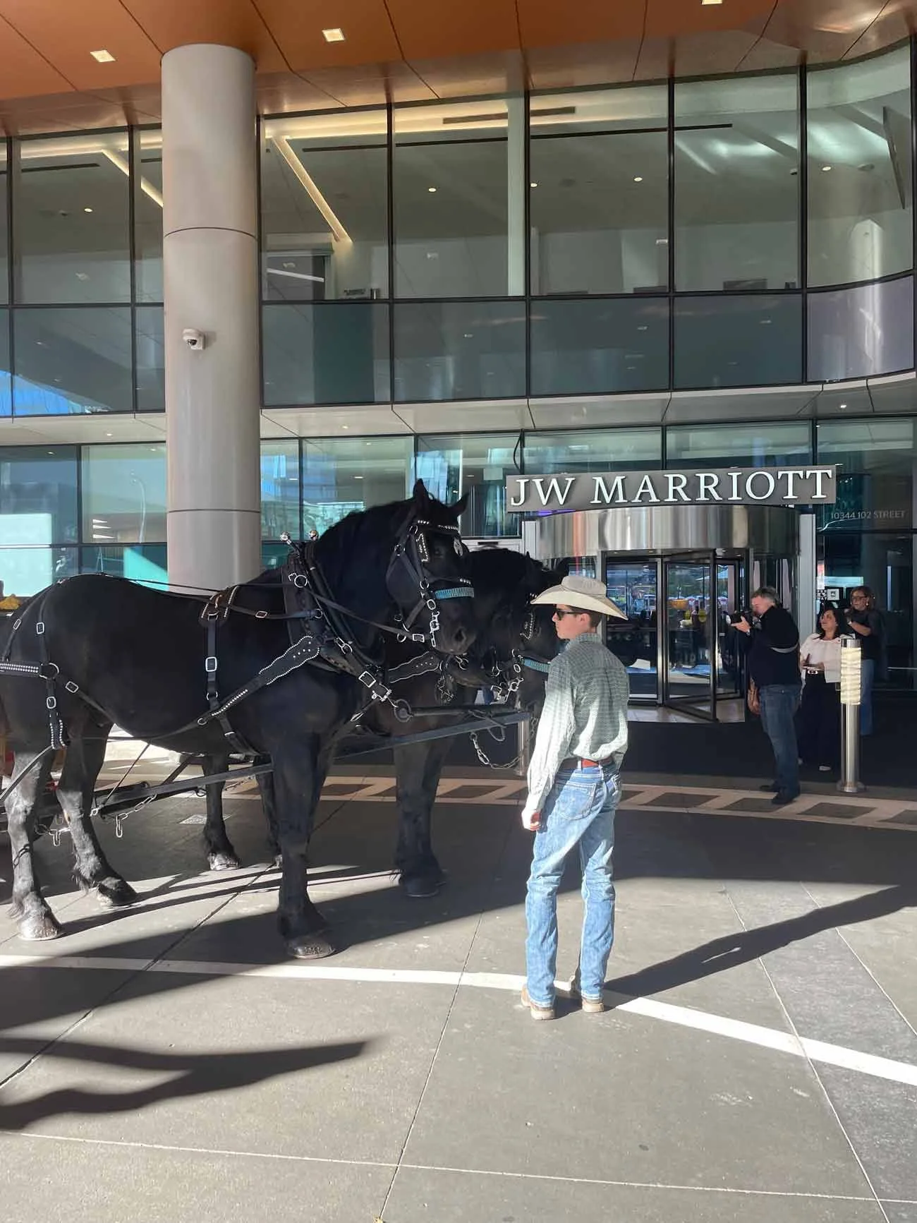 Two black horses hitched to a carriage in front of the JW Marriott hotel entrance. A man in a cowboy hat, sunglasses, and jeans is standing nearby, and a person is taking a photo while another observes. The hotel has large glass windows and modern architecture.