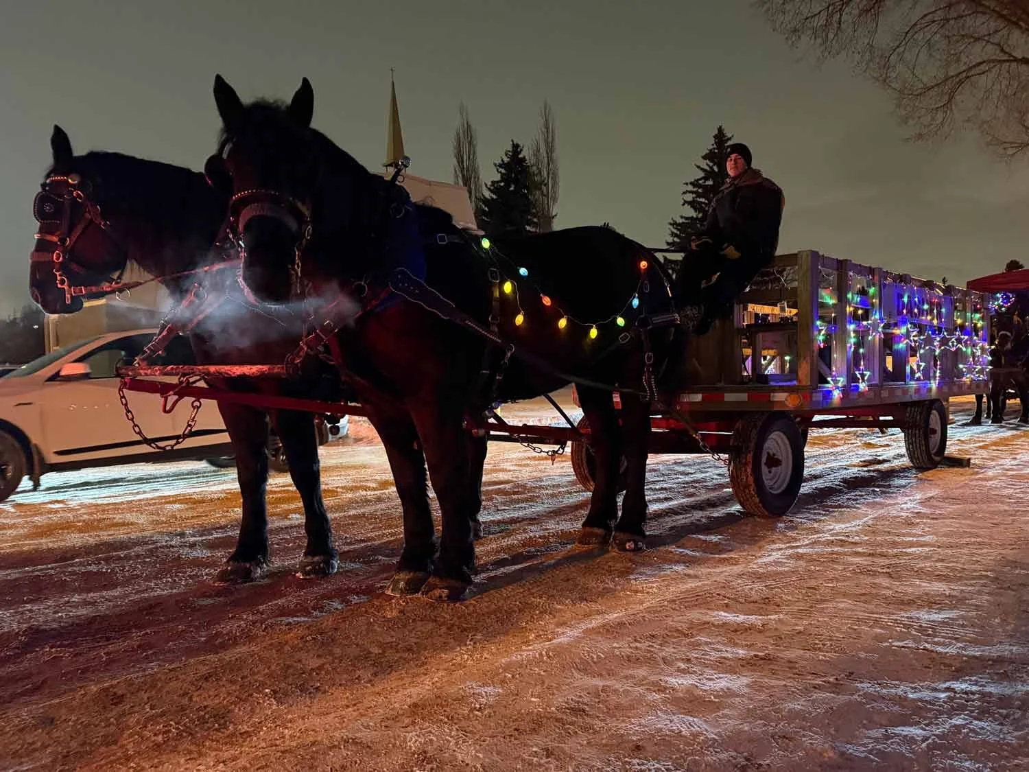 A horse-drawn wagon decorated with colorful Christmas lights on a snowy night, with a person sitting on the wagon and cars in the background.