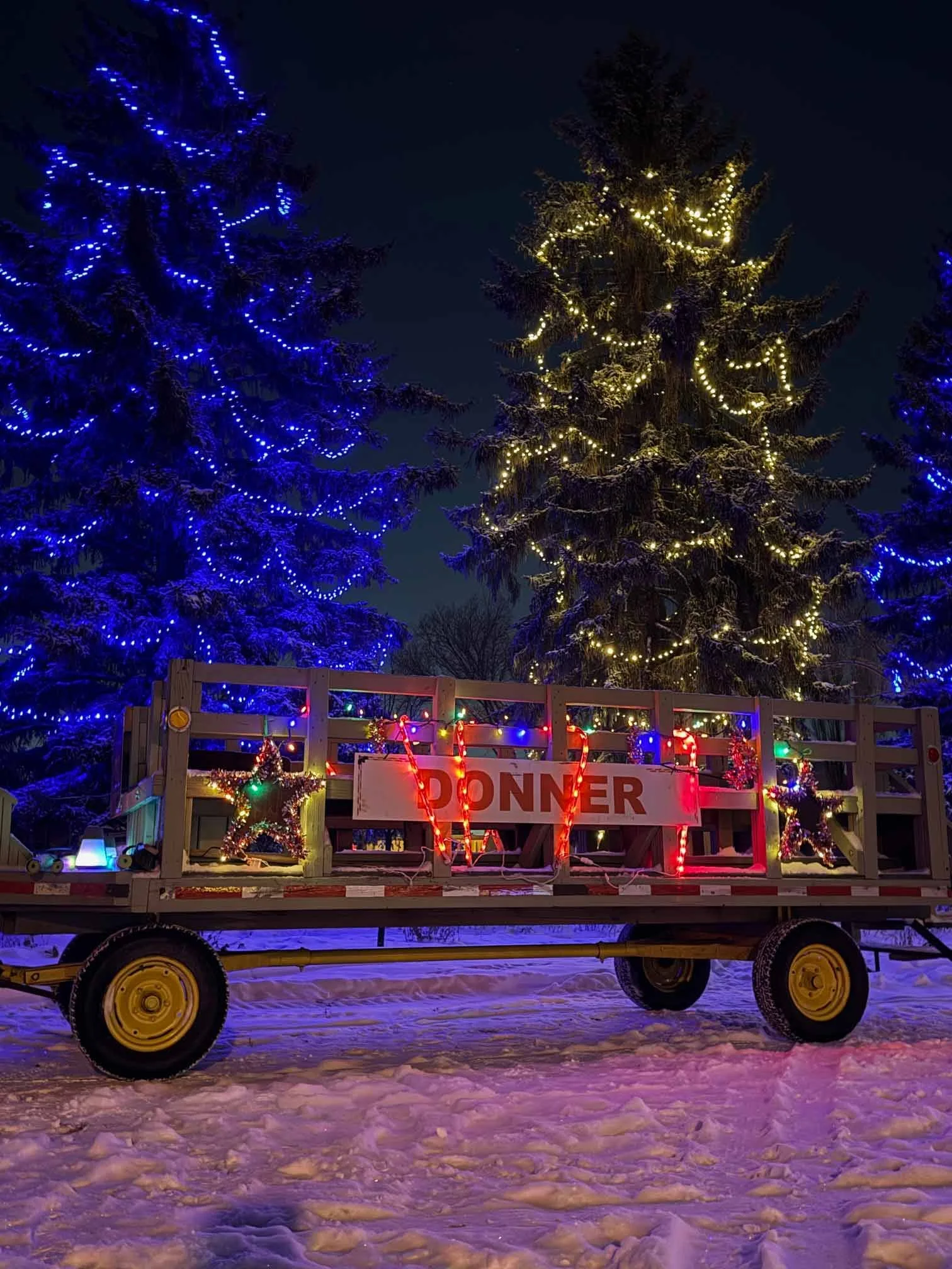 A decorated outdoor food stand with a sign reading 'DANNER' on a snowy ground at night. Two Christmas stars with lights are placed on sides of the stand, surrounded by Christmas lights and trees with blue and yellow lights in the background.