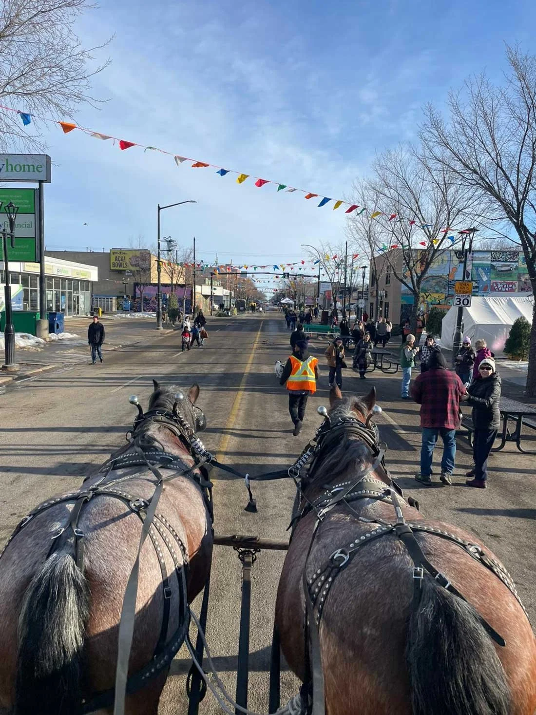 View from a horse-drawn carriage looking down a busy downtown street with people walking, colorful flags overhead, shop buildings, and a clear blue sky.