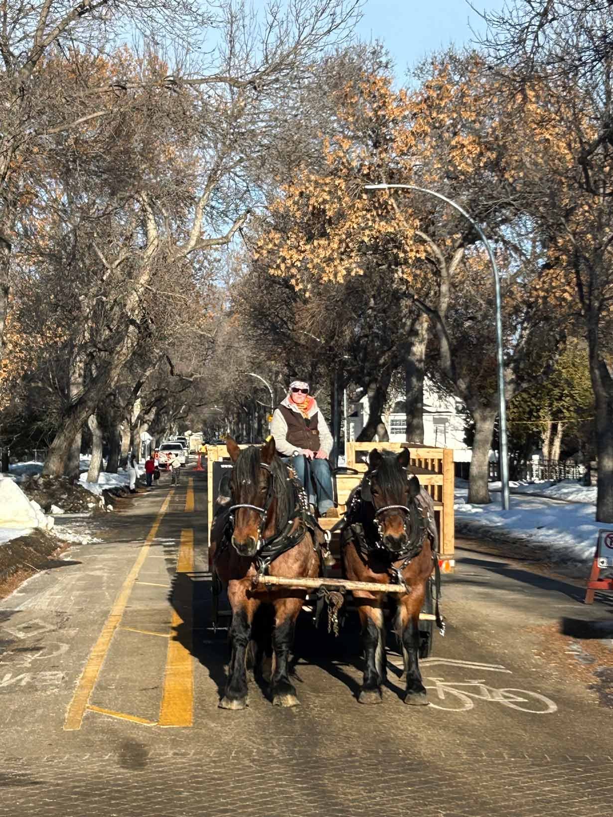 A man riding a horse-drawn carriage on a city street during winter, with leafless trees and snow on the sides of the road.