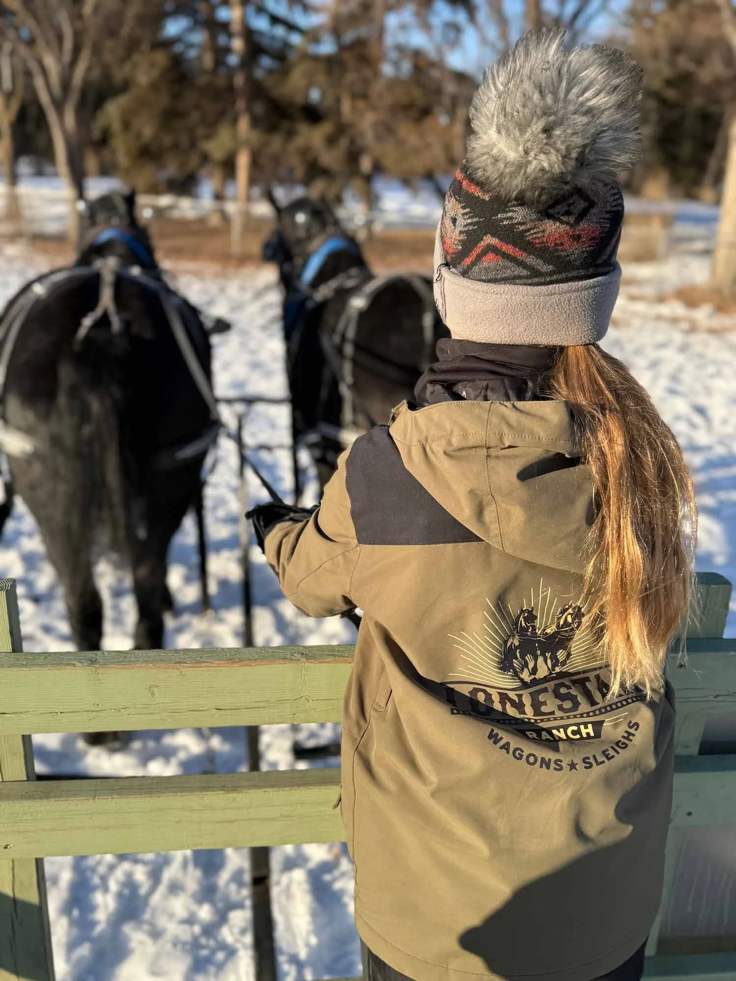 A person with long hair, wearing a beanie and a jacket, standing at a fence overlooking two horses in a snowy outdoor setting.