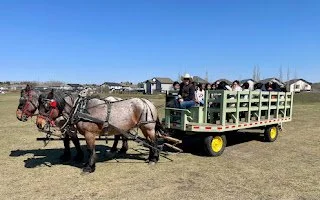 Community Summer 1.jpg