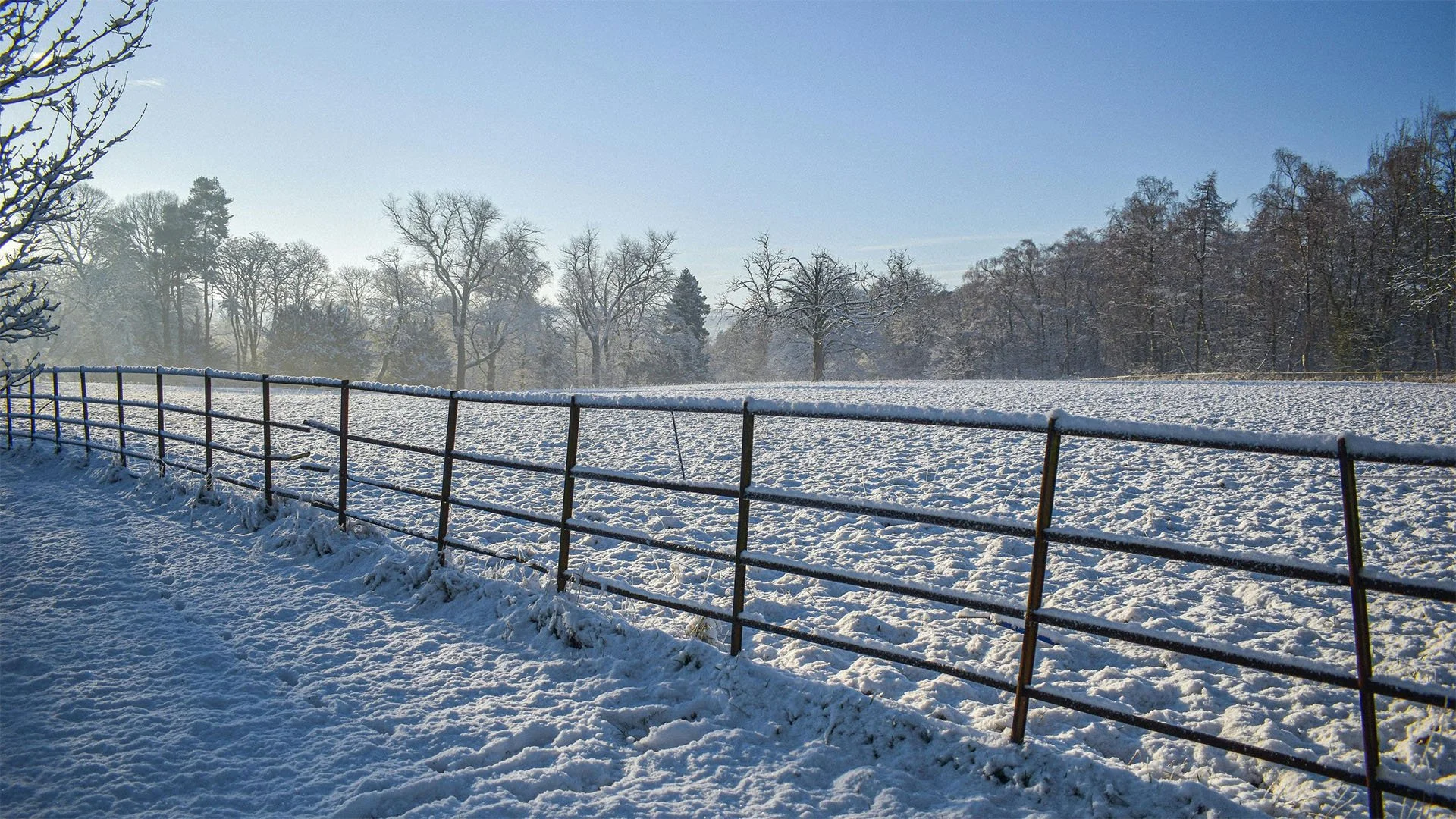 A fence snakes through a snow covered field, with a beautiful white haze rising in front of the vibrant blue sky.