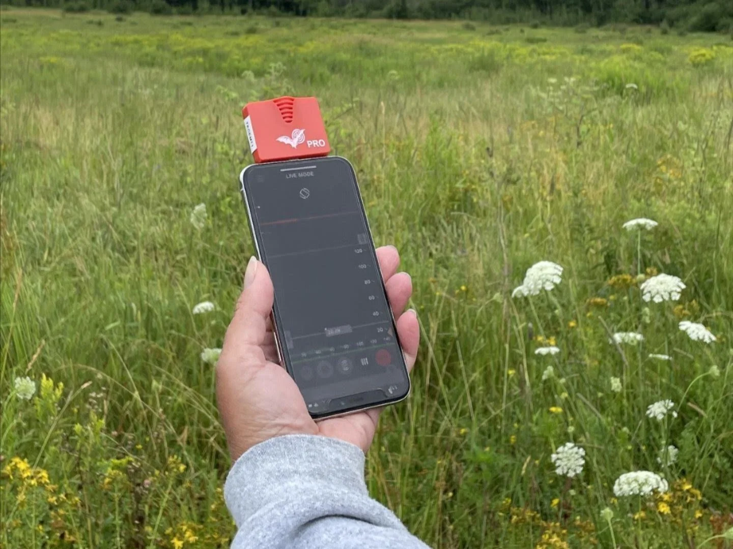 Now Hiring Bat Monitoring Technician