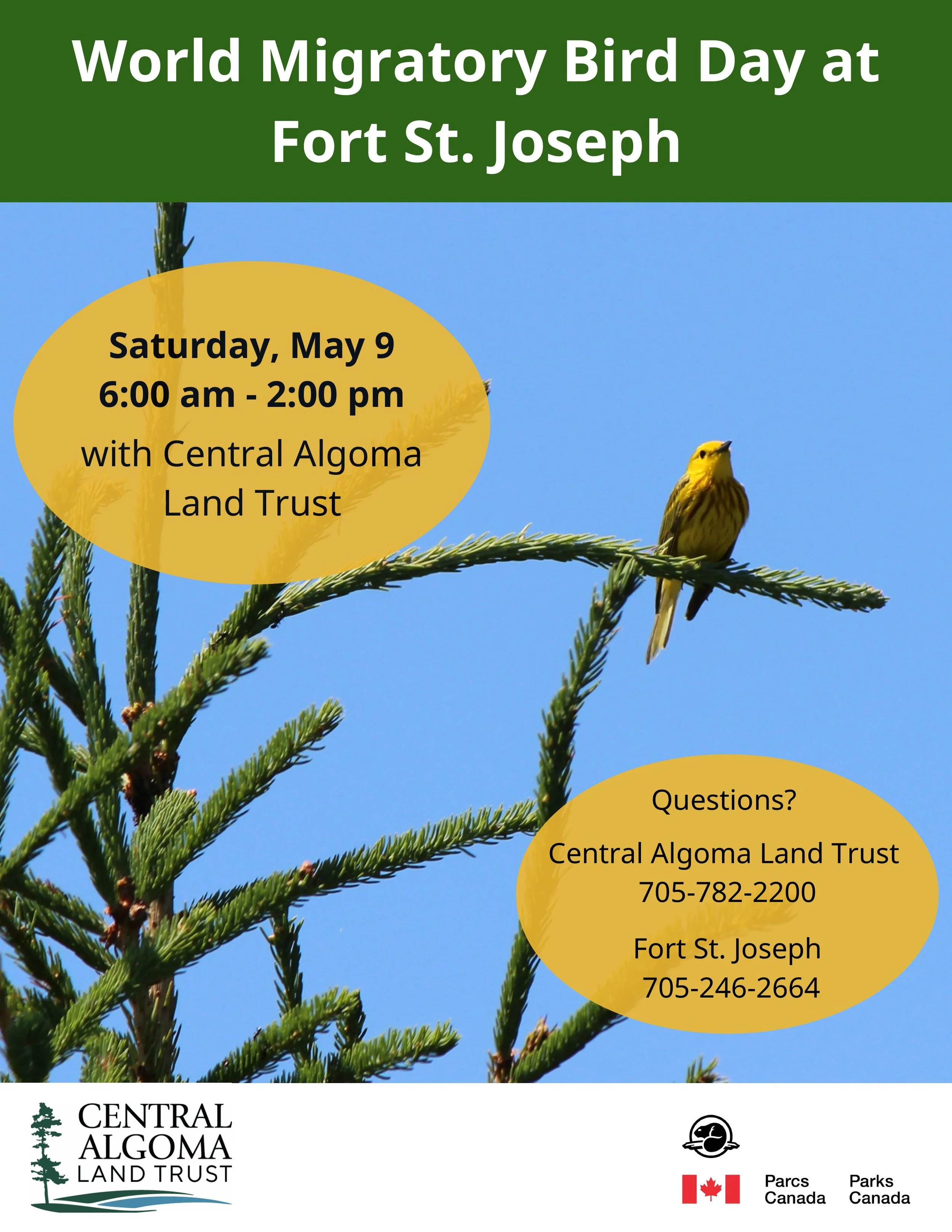 World Migratory Bird Day at Fort St. Joseph