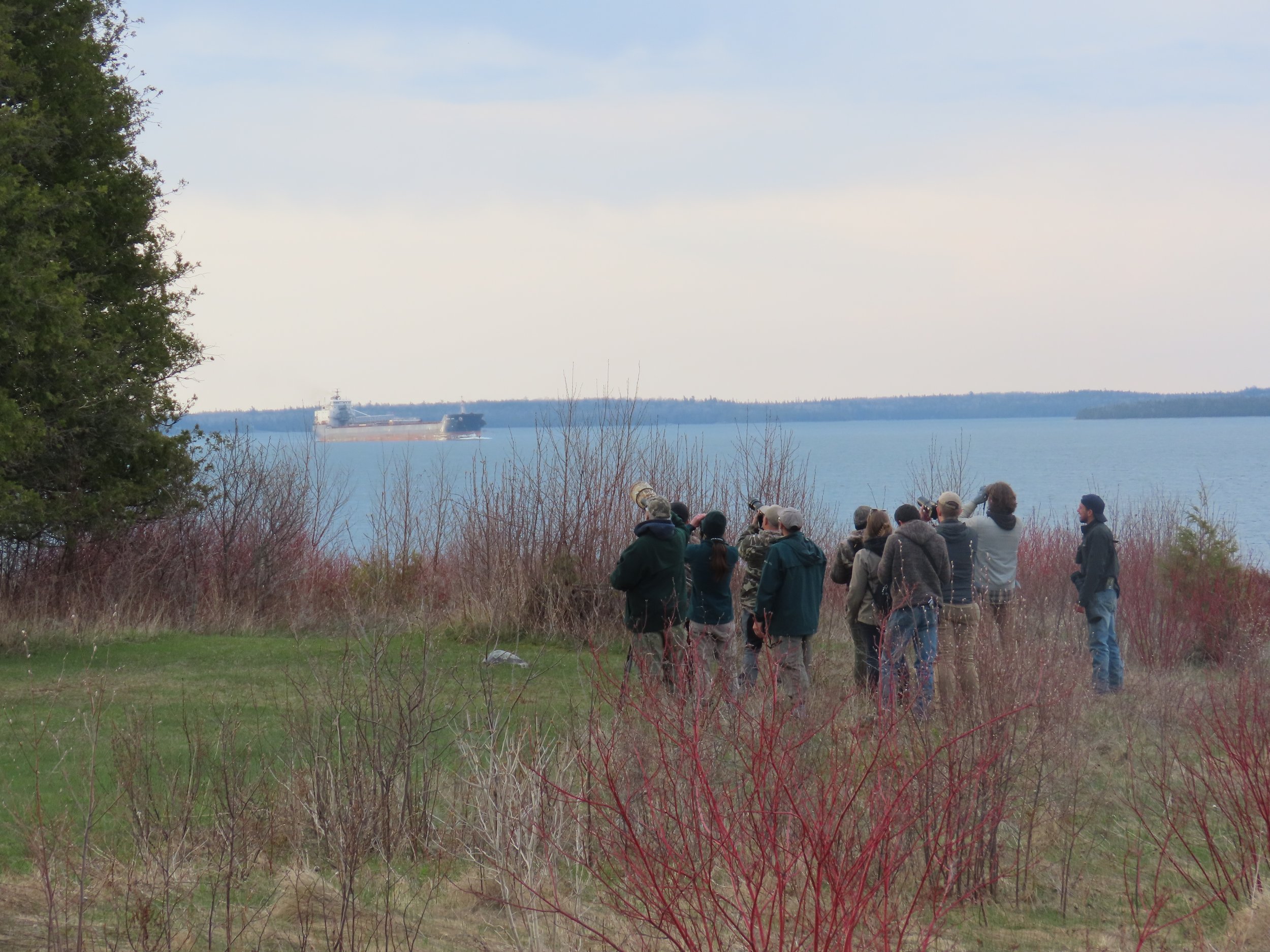 World Migratory Bird Day at Fort St. Joseph Recap
