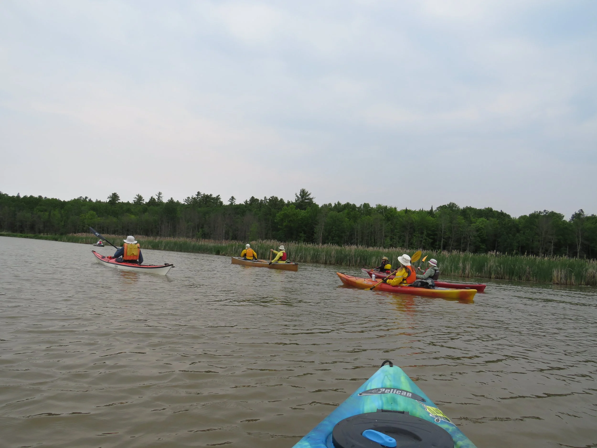 Guided Paddle to Coatsworth Island