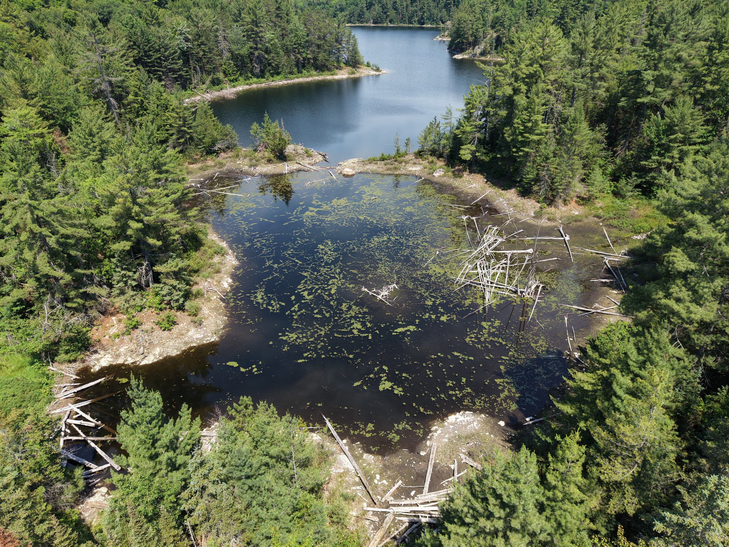 Historic Partnership Establishes Region's First Indigenous Protected Area at Echo Lake