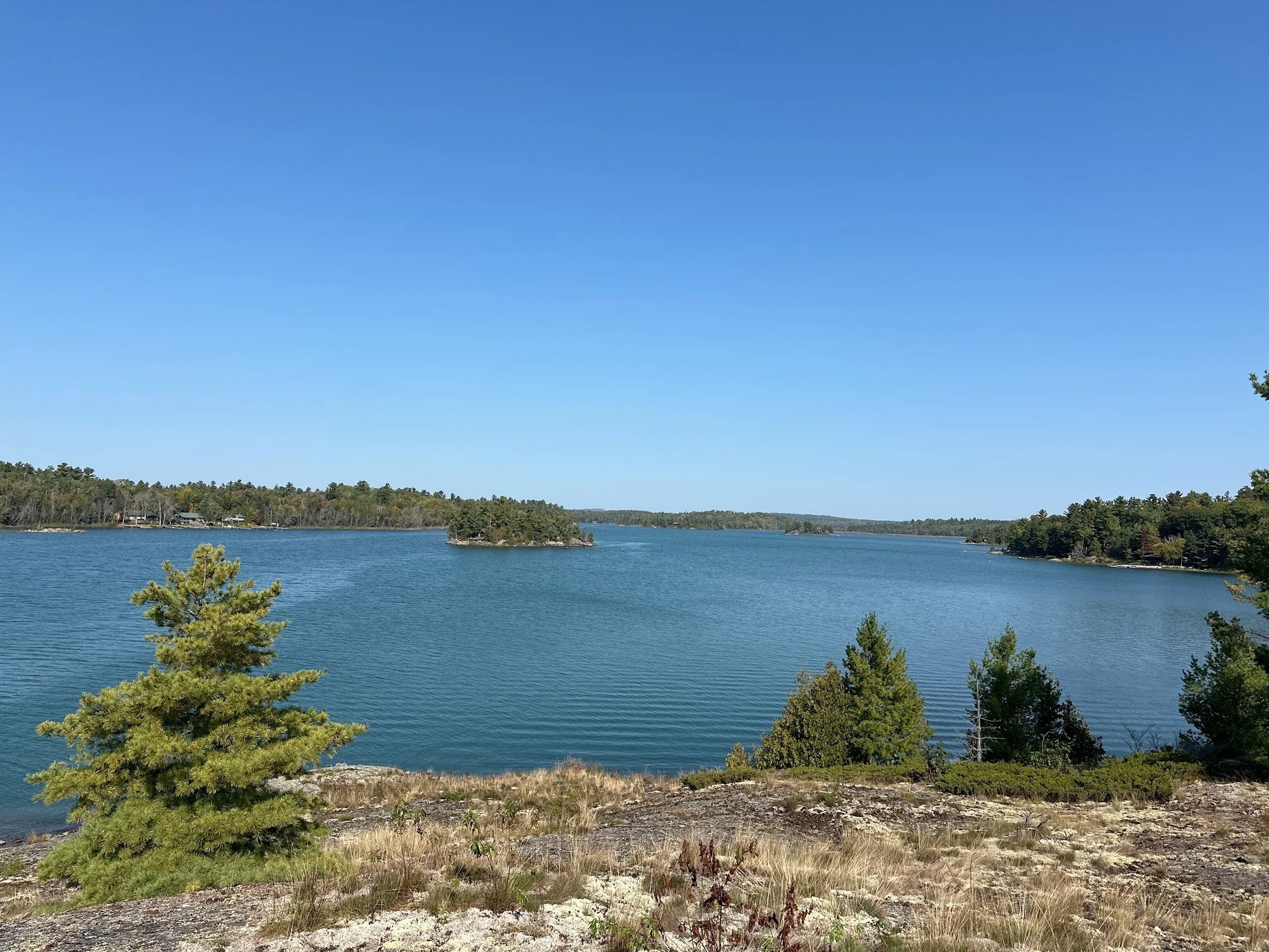 A lakeside view with a blue sky, calm water, and trees along the shoreline.