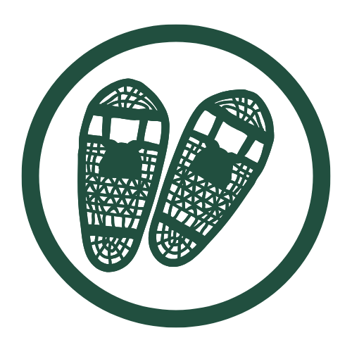Icon of a pair of insoles inside a circular border.
