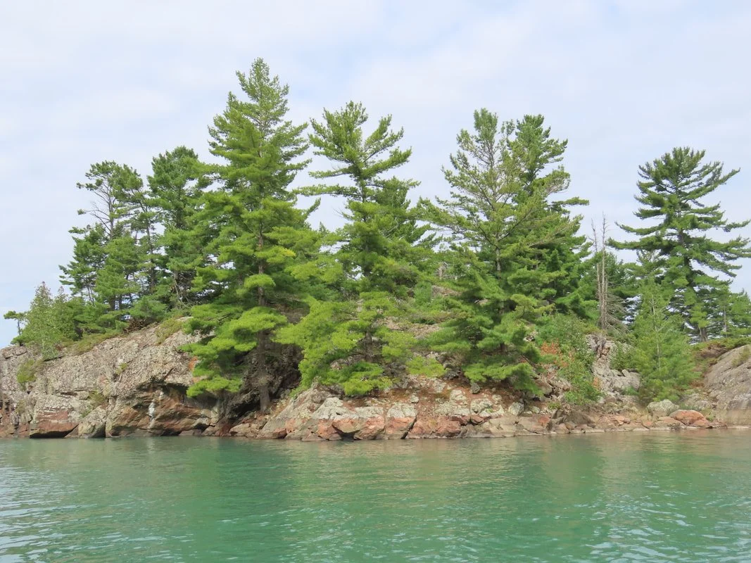 View of a rocky island with green pine trees surrounded by calm water under a cloudy sky.