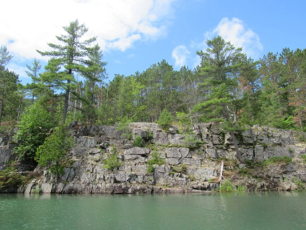 Rocks and tall green pine trees along a riverbank under a partly cloudy blue sky.