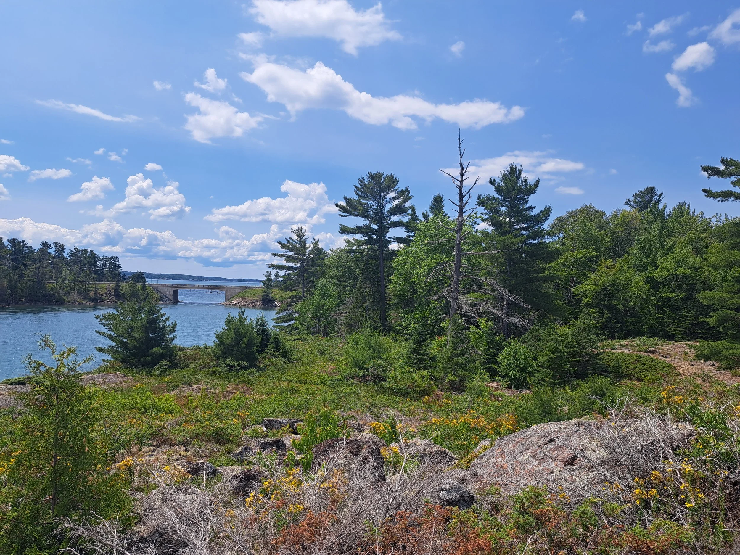 A scenic view of a river with a bridge in the distance, surrounded by green trees and rocks under a partly cloudy blue sky.