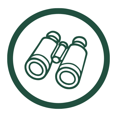 Icon of binoculars within a circle.