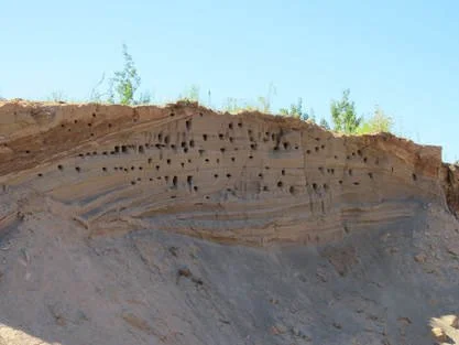 Erosion exposing layered sedimentary rocks in a cliff face with small holes and formations.