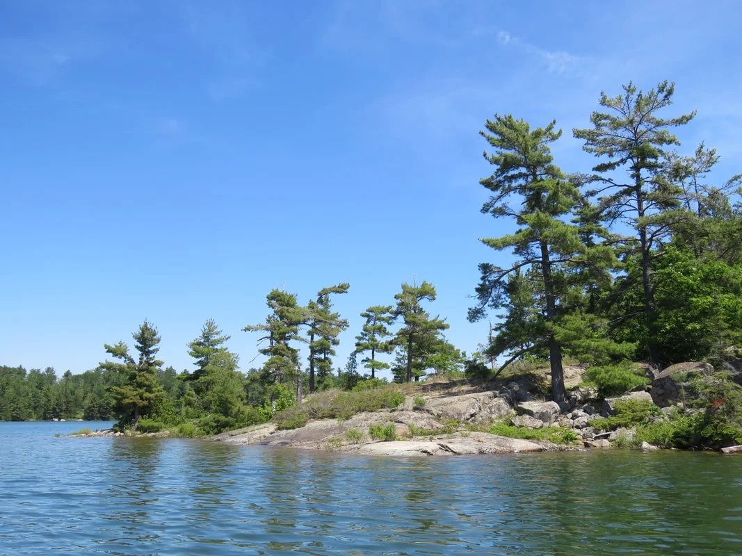A peaceful lake scene with clear blue water, rocky shoreline, and pine trees under a bright blue sky.