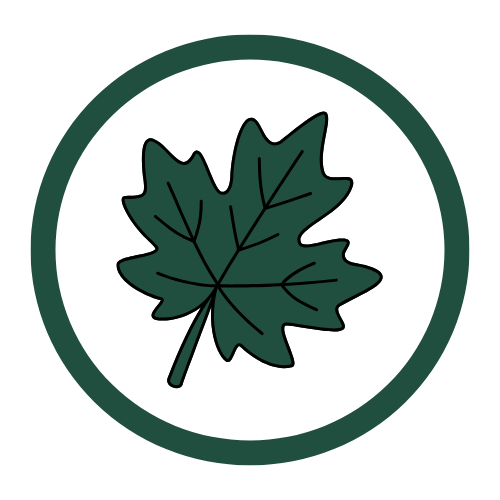 Illustration of a green maple leaf inside a green circle.