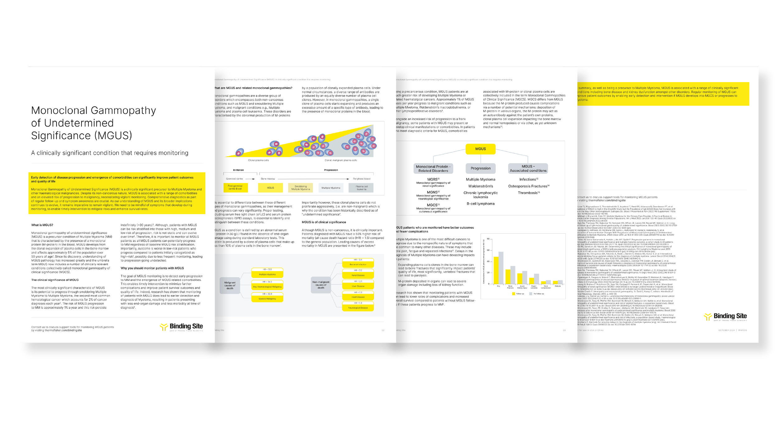 WHP013_1124_MGUS IVDR Article_MGUS is of significance.png