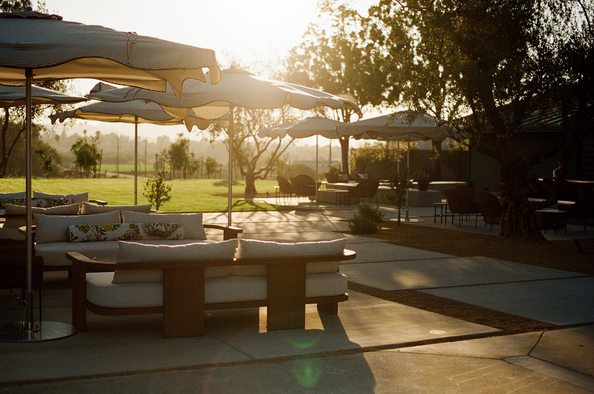 Outdoor patio area with lounge furniture, large striped umbrellas, and trees in the background during sunset.