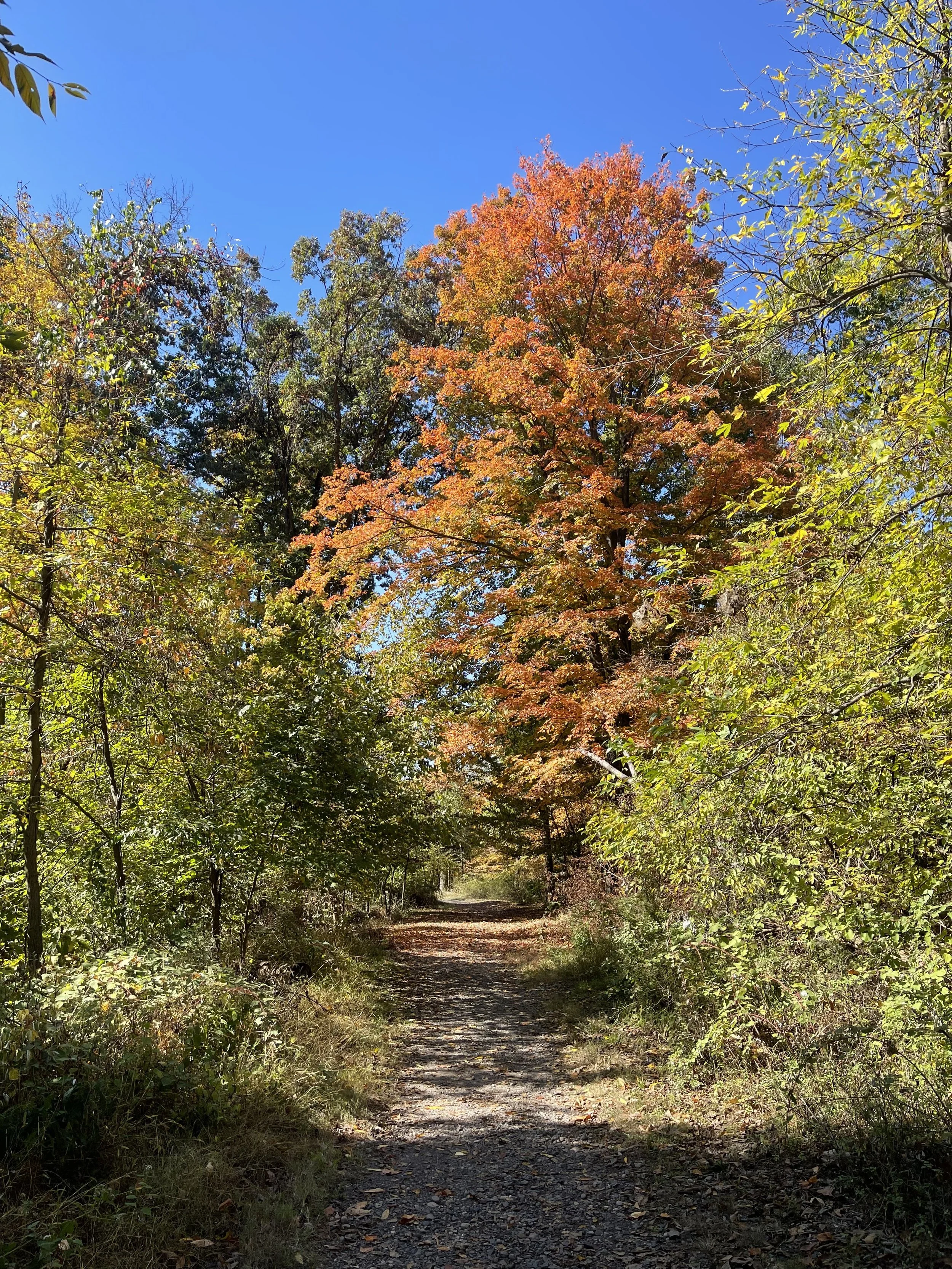 lamberville, nj