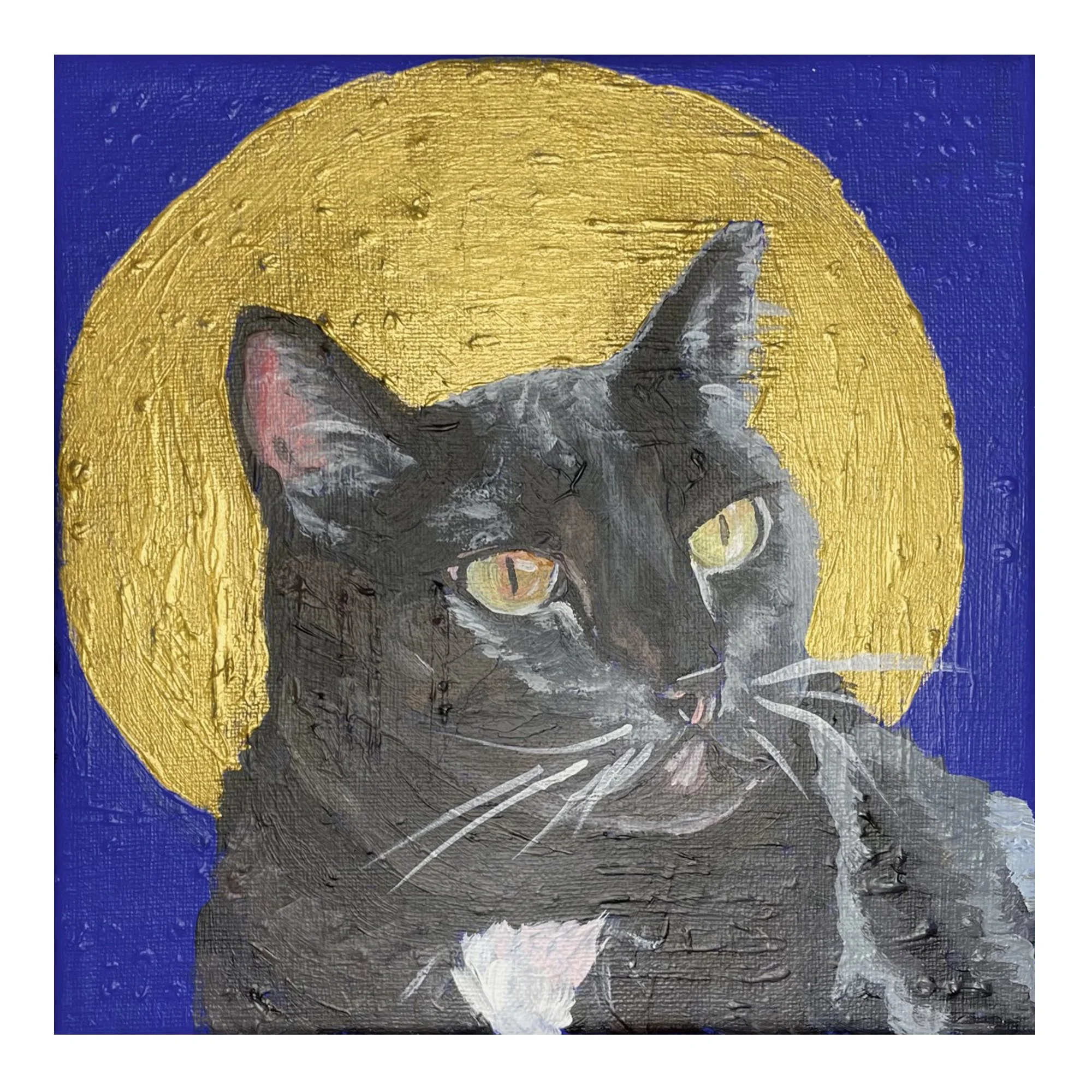 Dana May - Saint Stevie