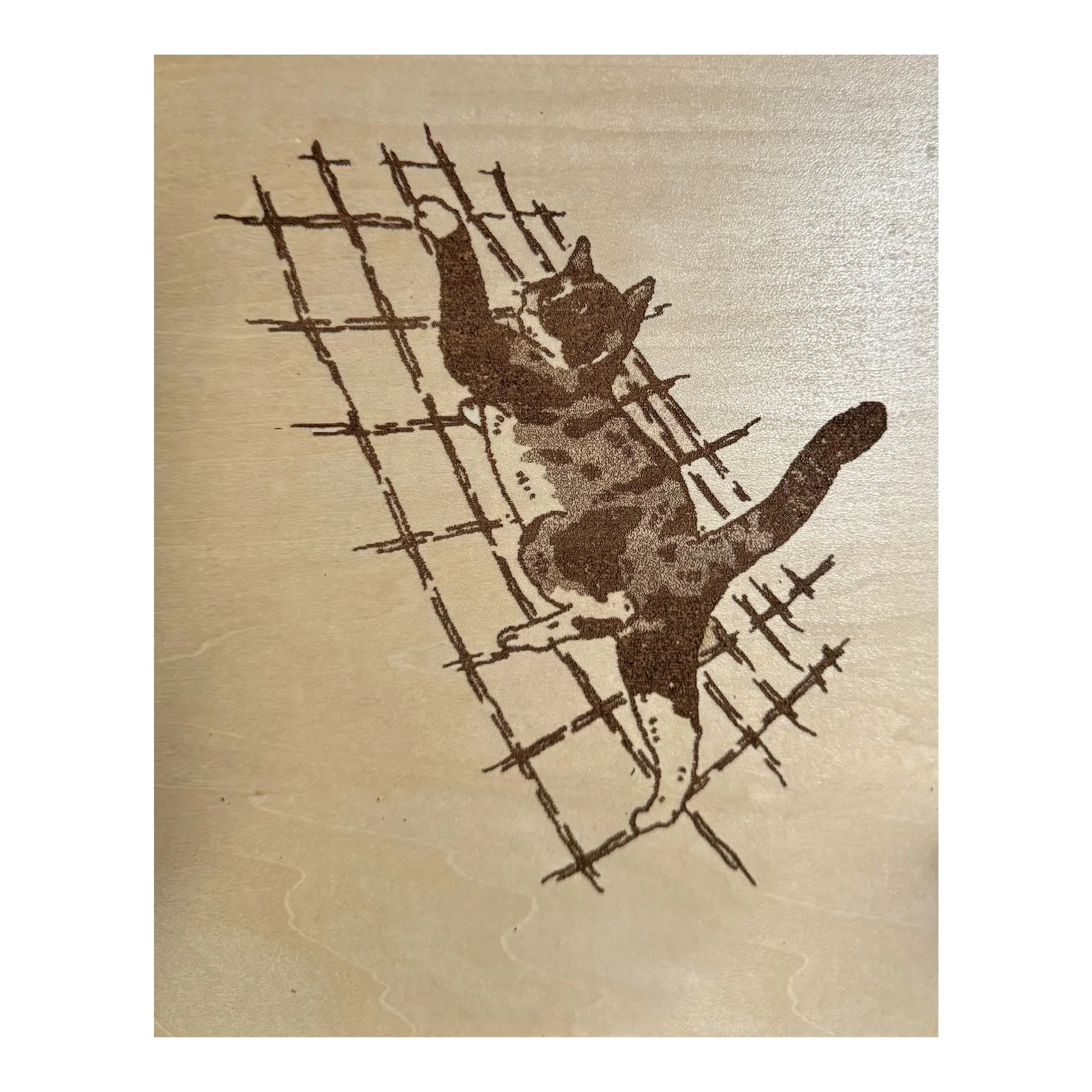 Mark Kleeb - DBA Cat in the Cargo Net