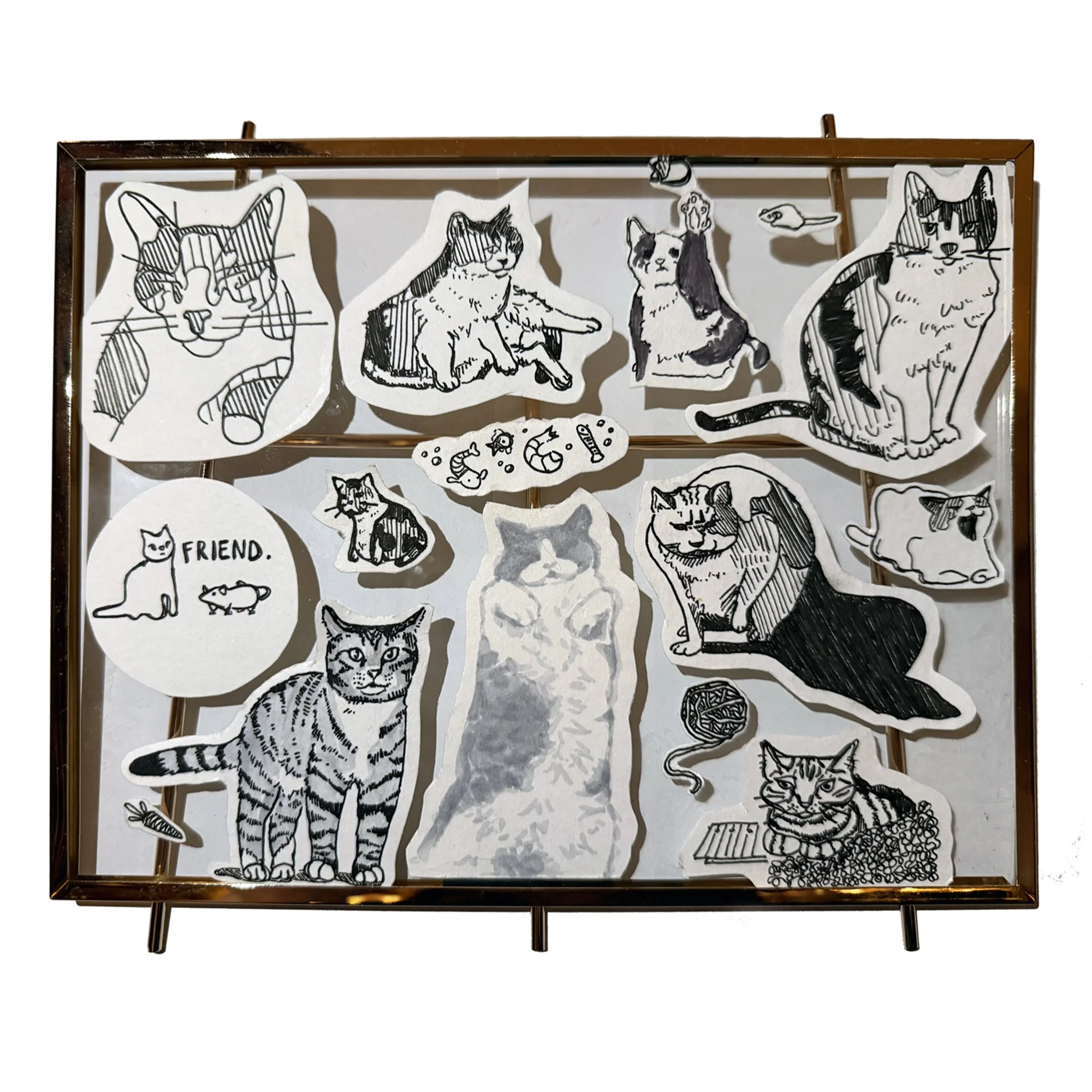 Jenna Trupp - A Band of Thieves