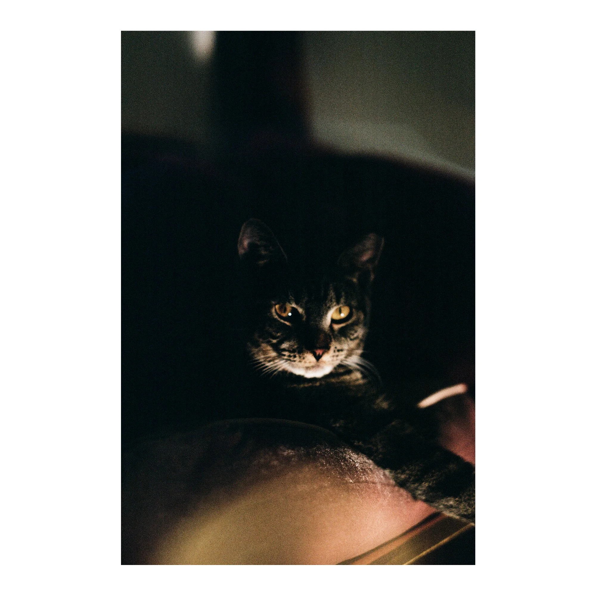 Liz Ev K - Portrait of Salome