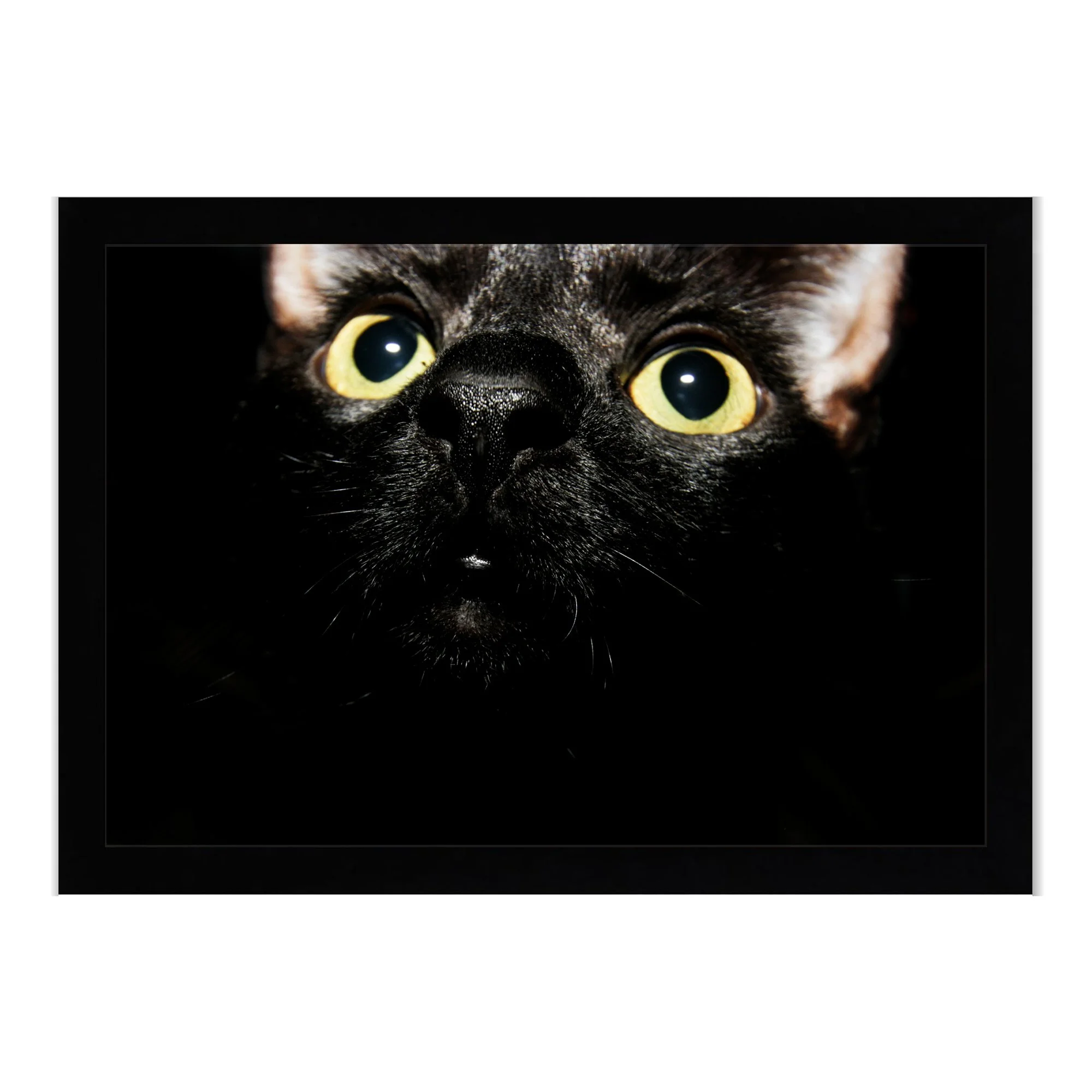 Nicki Ishmael - Taniwha