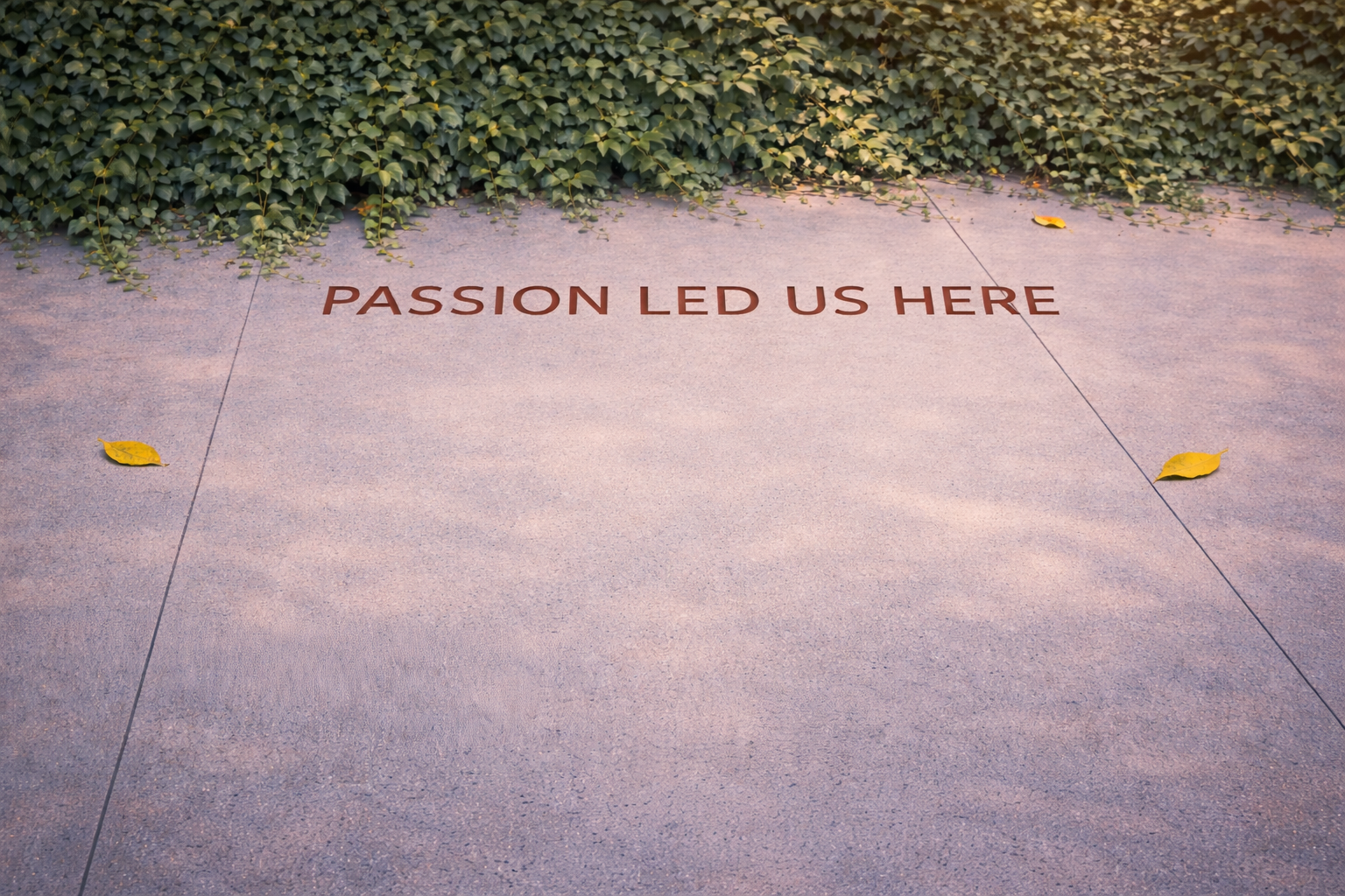 Passion led us here