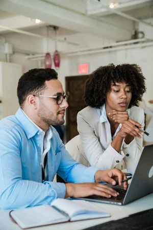 Professional business consultation