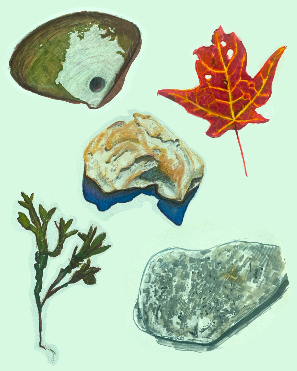 Mixed media, Alcohol markers and colored pencils