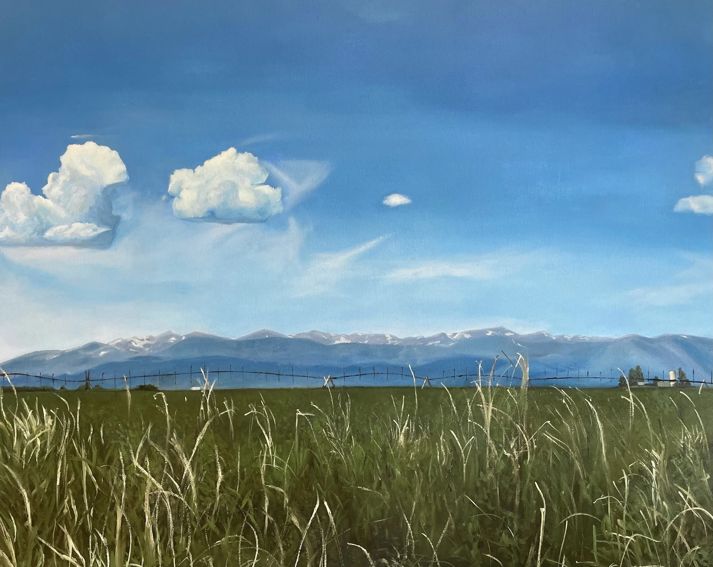 colorado field, 24 x 30”, oil on panel, 2023