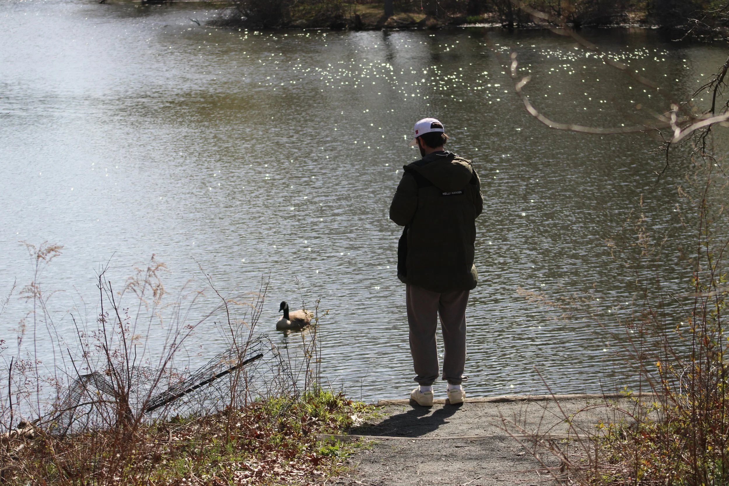 Patrick Murphy, 29, admiring a Canada Goose in Franklin Park, Dorchester, MA.
