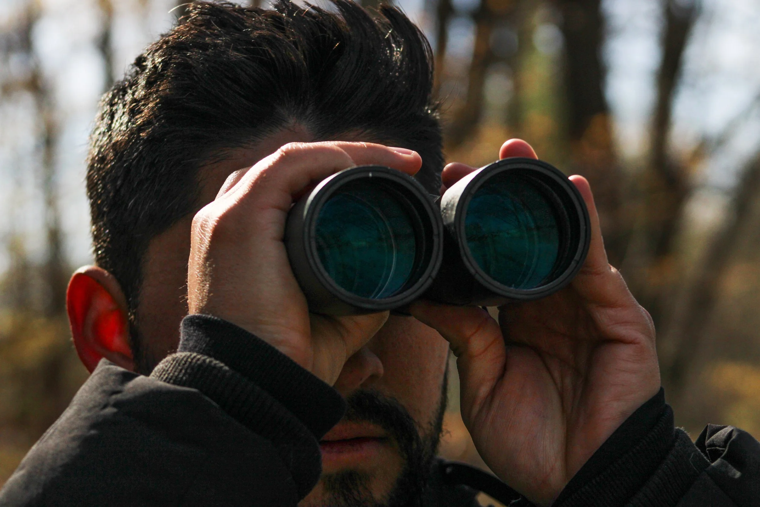 Nicholas Komar, 32, looking at a bird through his binoculars in Franklin Park, Dorchester, MA.